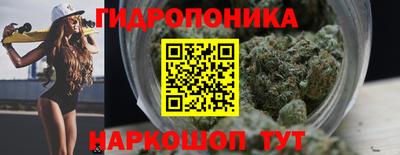 прущие грибы Канаш