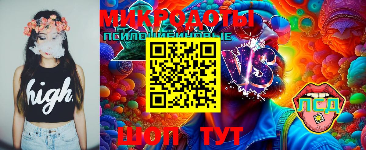 Псилоцибиновые грибы GOLDEN TEACHER  Вход с VPN  Галлюциногенные грибы GOLDEN TEACHER  Балтийск 